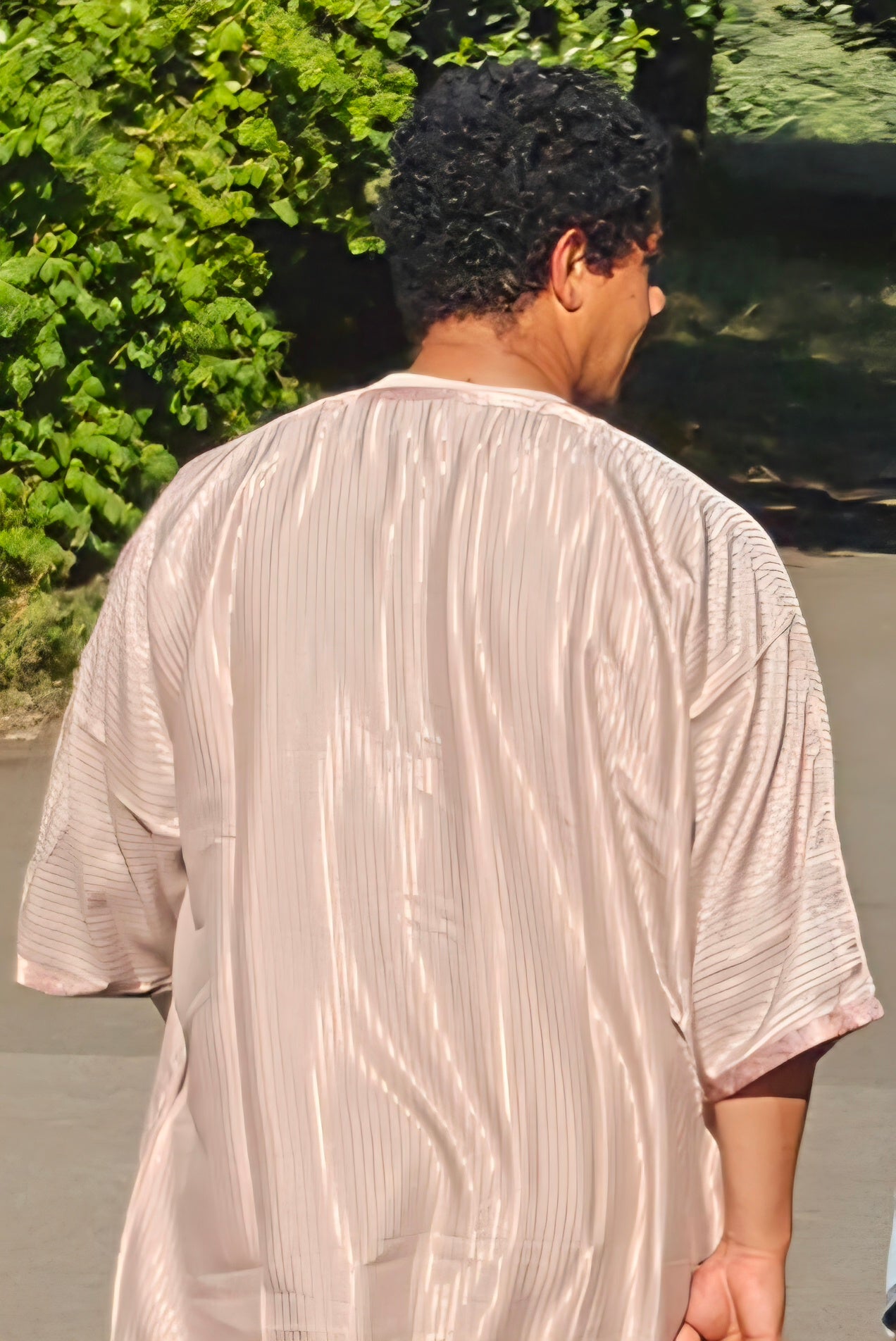 Back profile of the tea rose Gandoura